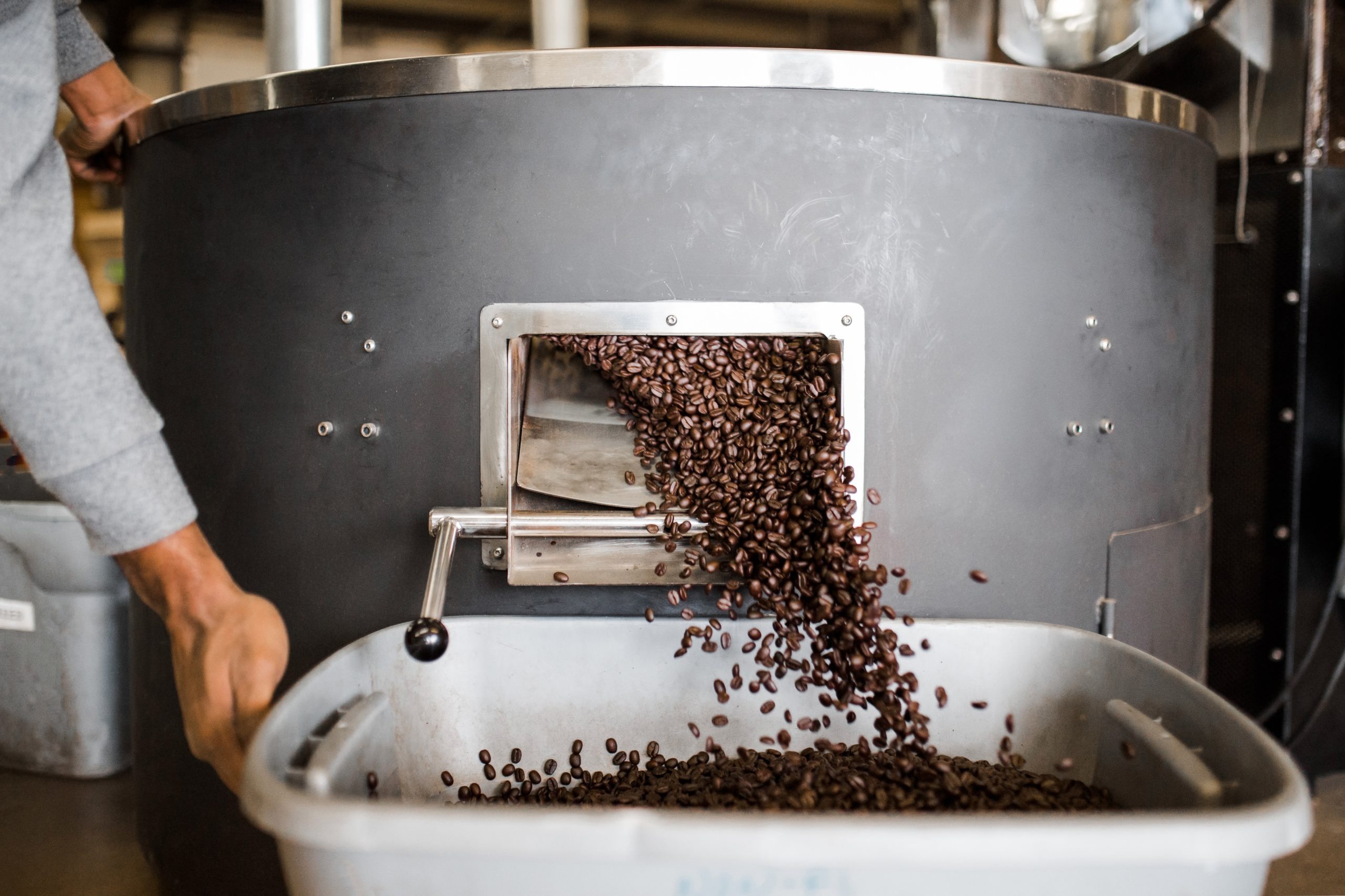 What Are the Main Differences between Coffee Roast Levels