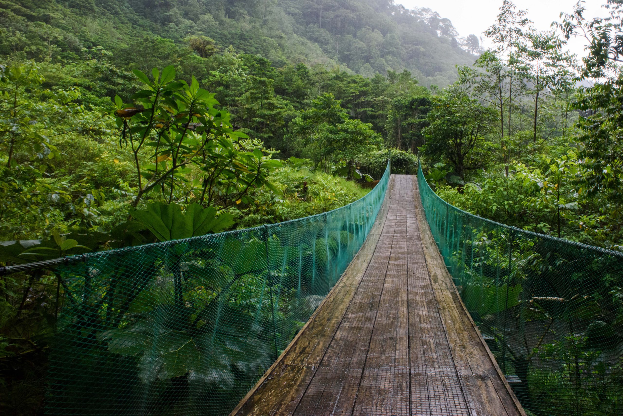 Costa Rican Coffee History