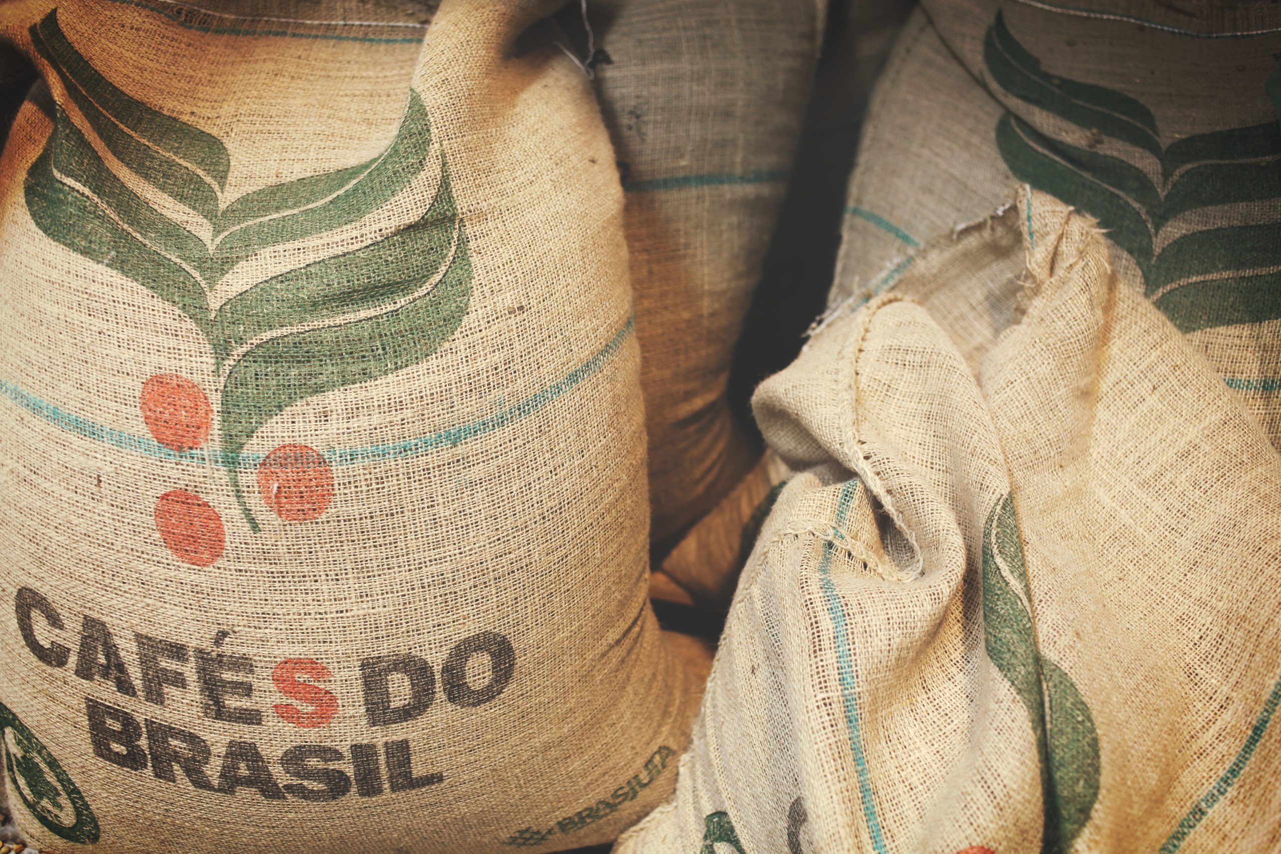 What Is Robusta Coffee