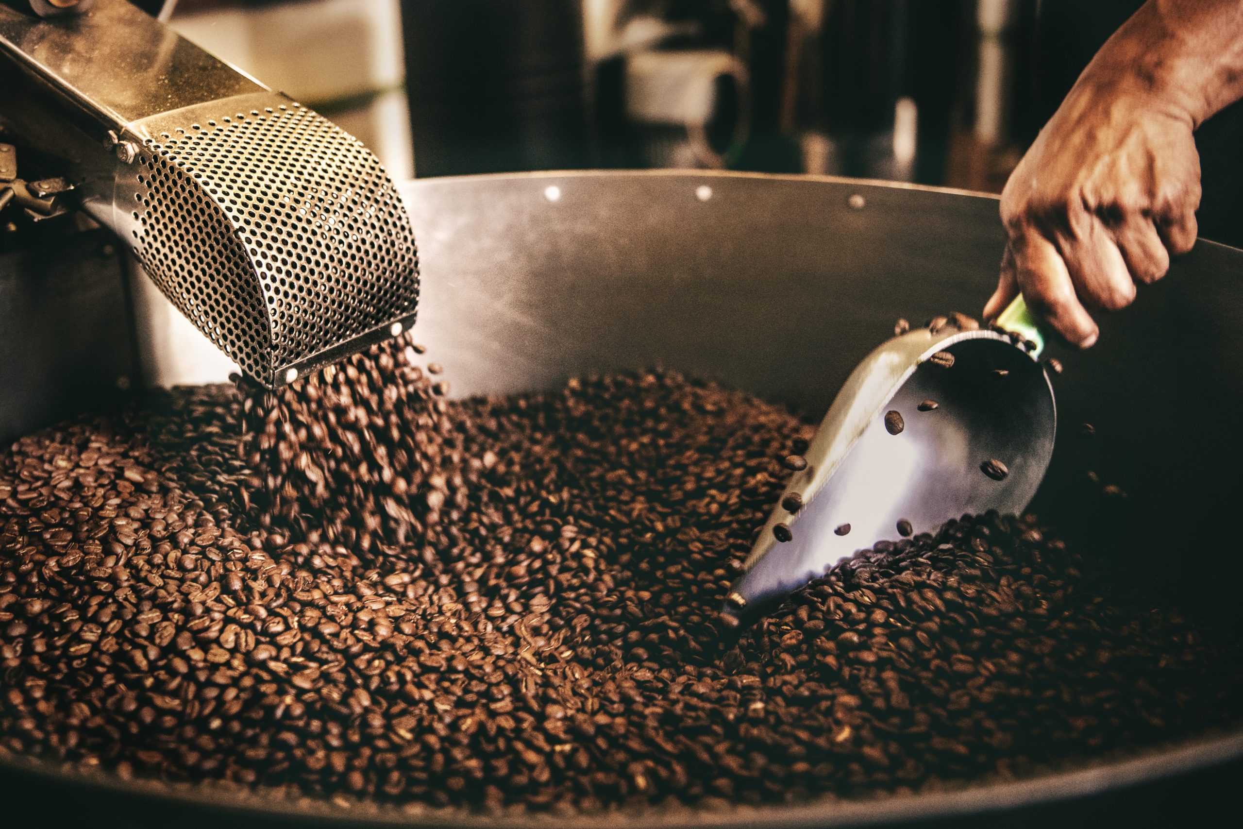 Peaberry Coffee Bean Roast Profile